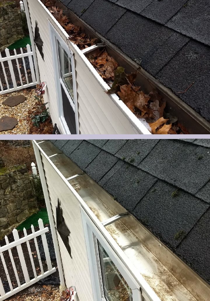 Gutter Cleaning
